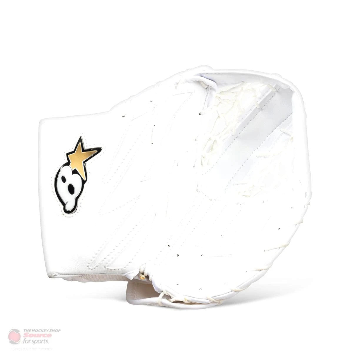 Brian's NetZero 2 Youth Goalie Catcher 1 Brian's NetZero 2 Youth Goalie Catcher